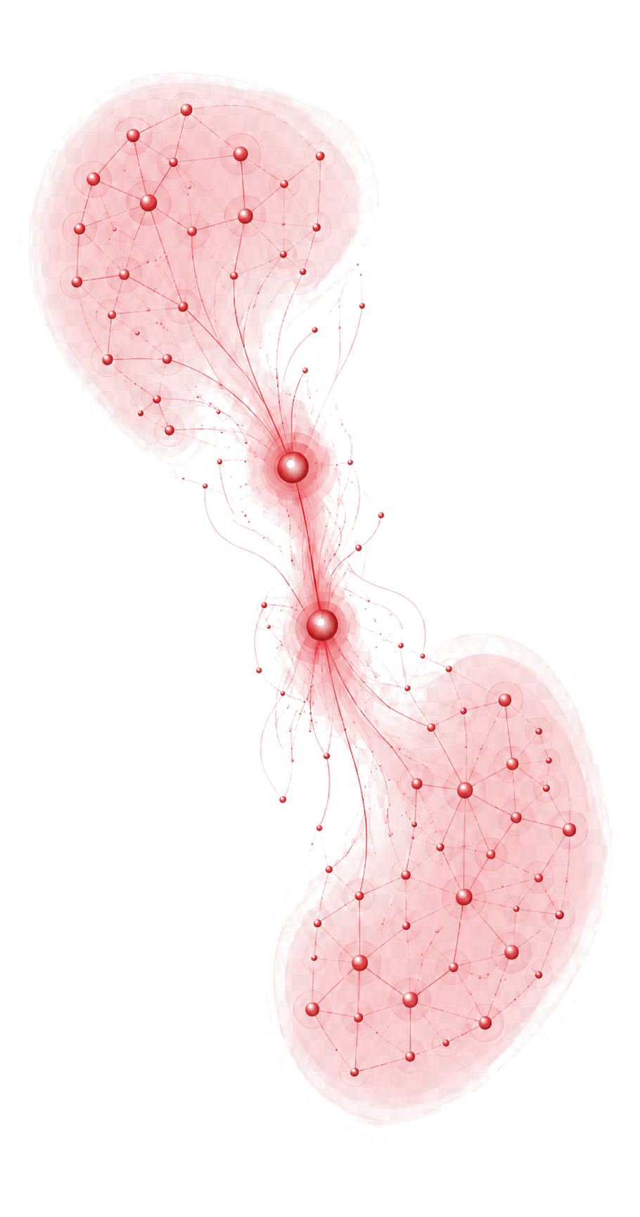Ilustrace kontaktu s týmem HealthBridge
